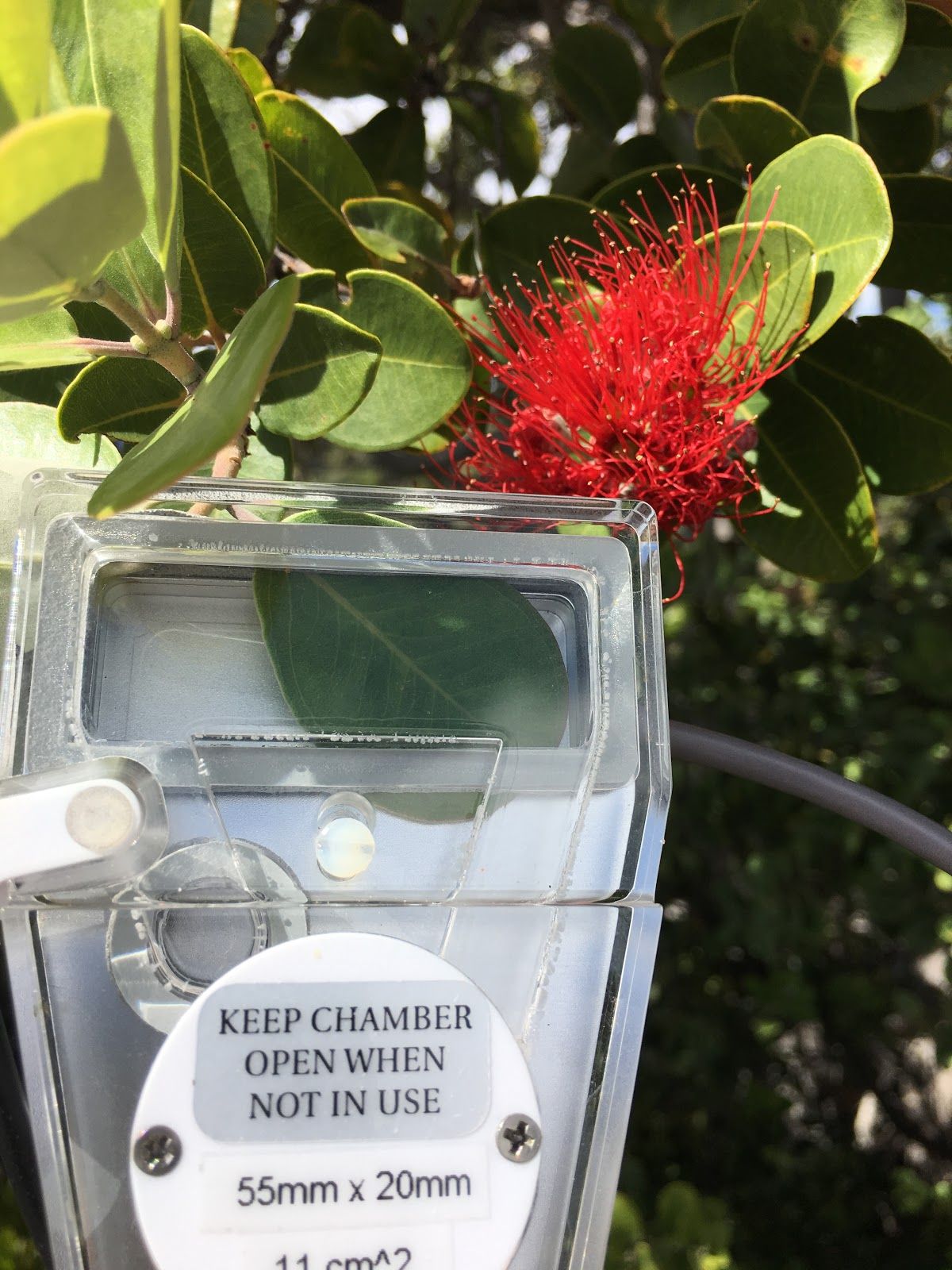 The Ryers use one of our CID leaf chambers in order to measure the rate of photosynthesis in a single leaf with the CI-340 Handheld Photosynthesis System.